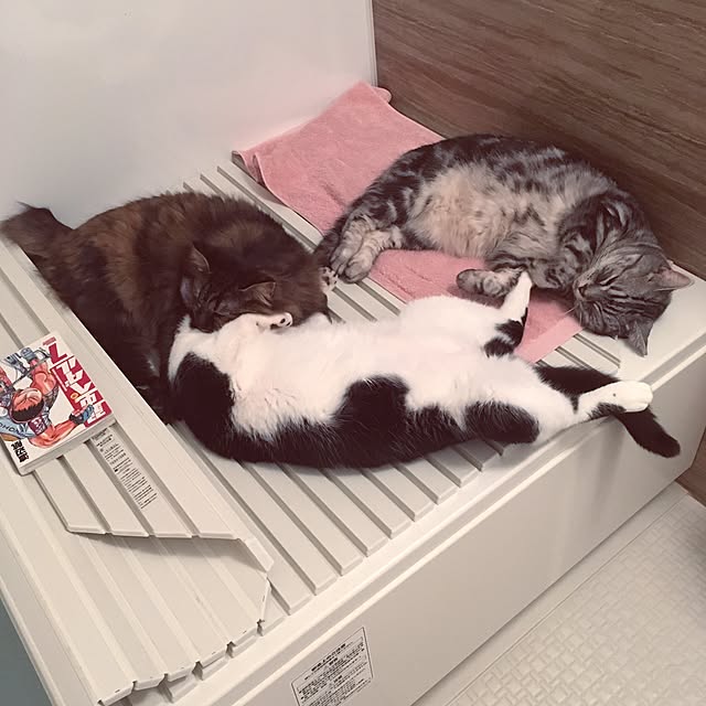 mikomaruさんの実例写真