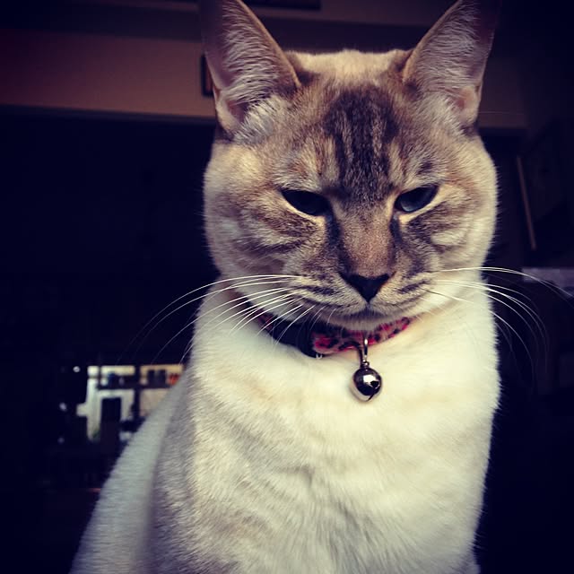 Naoki.さんの実例写真