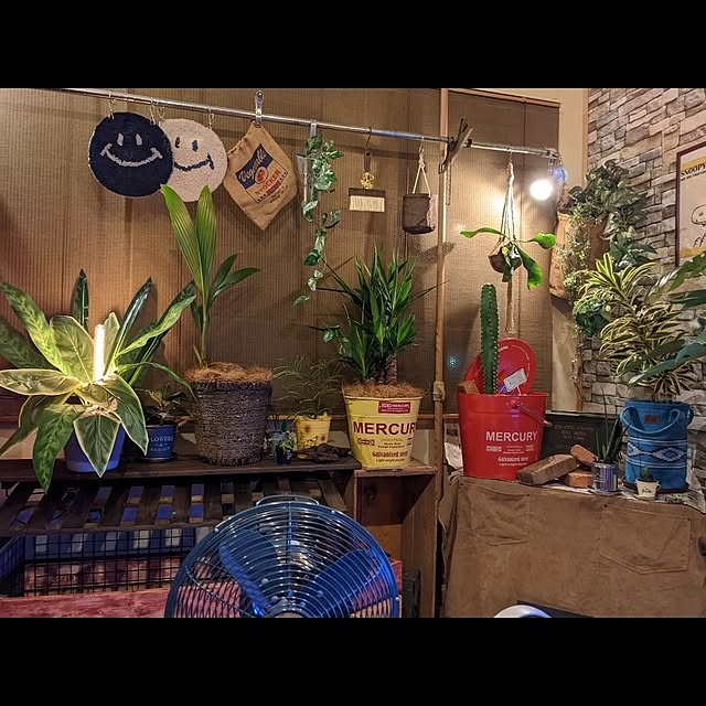 GINさんの部屋