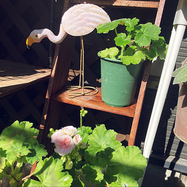 CoCo0617さんの実例写真
