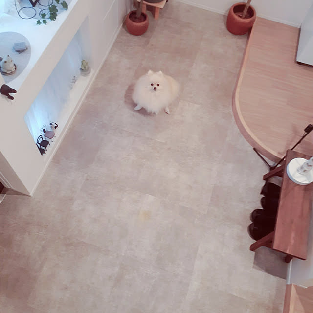 noahさんの実例写真