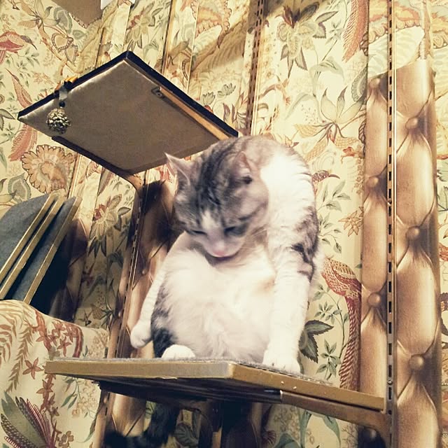 emmyyさんの実例写真