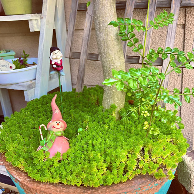 takakoさんの部屋