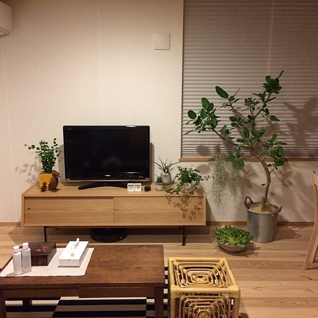 mossさんの実例写真