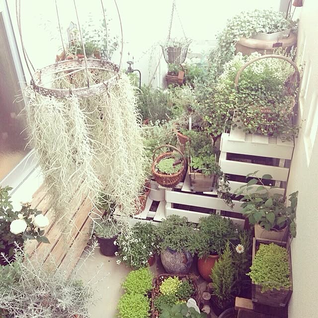 ChouchouLejardinさんの実例写真