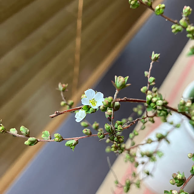 ikubooさんの部屋