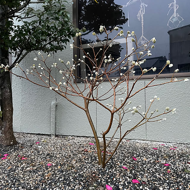 shin0719さんの部屋