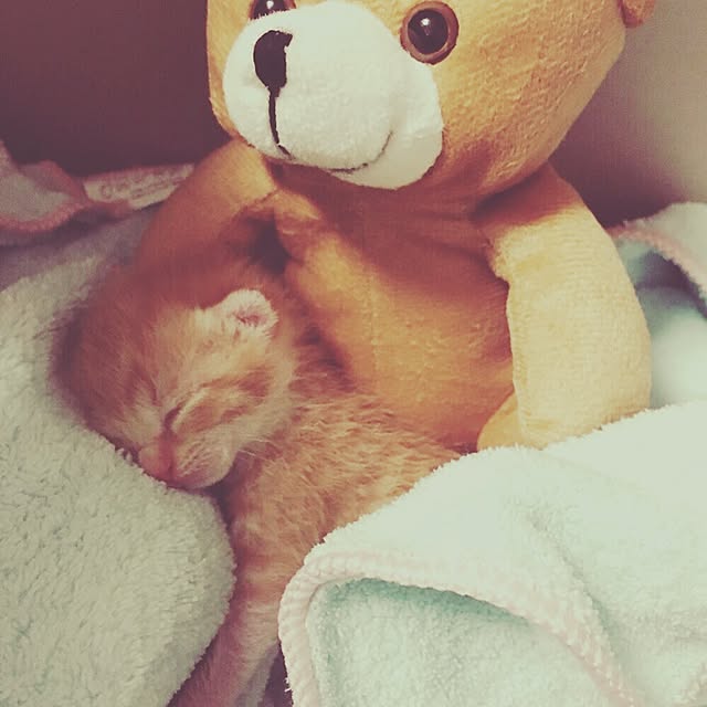 youtoさんの実例写真