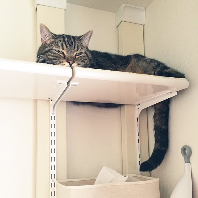 mikomaruさんの実例写真
