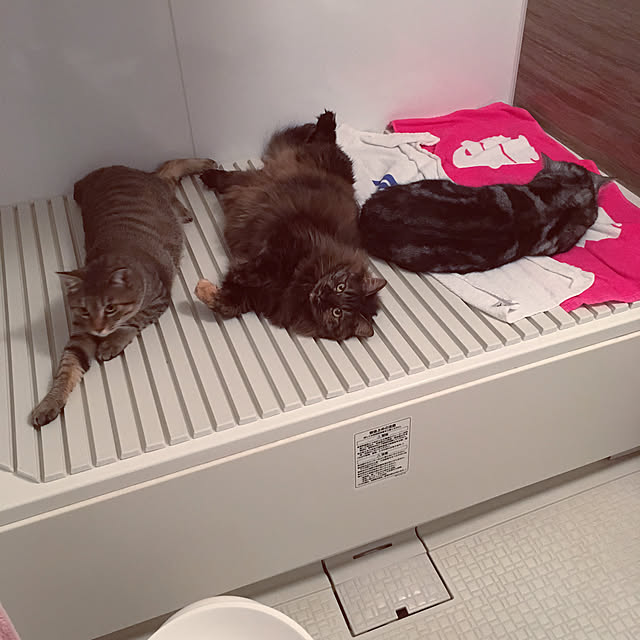 mikomaruさんの実例写真