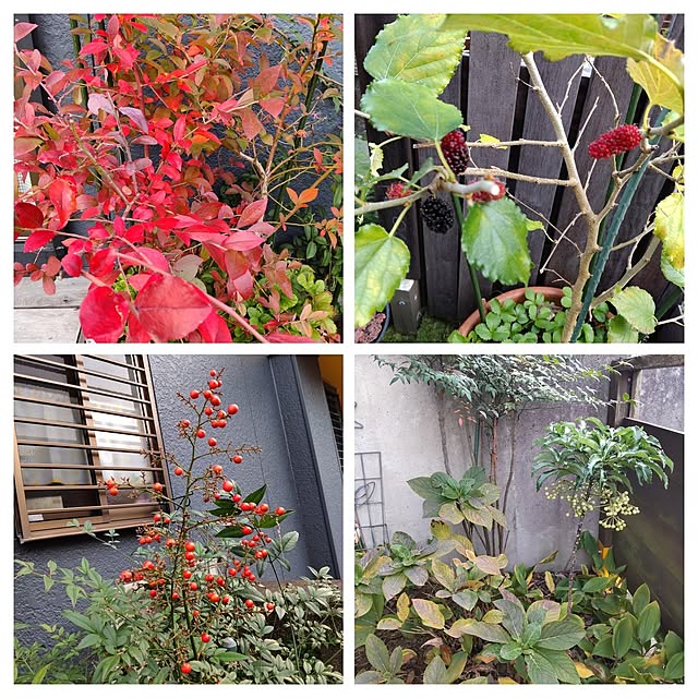 ampinさんの実例写真