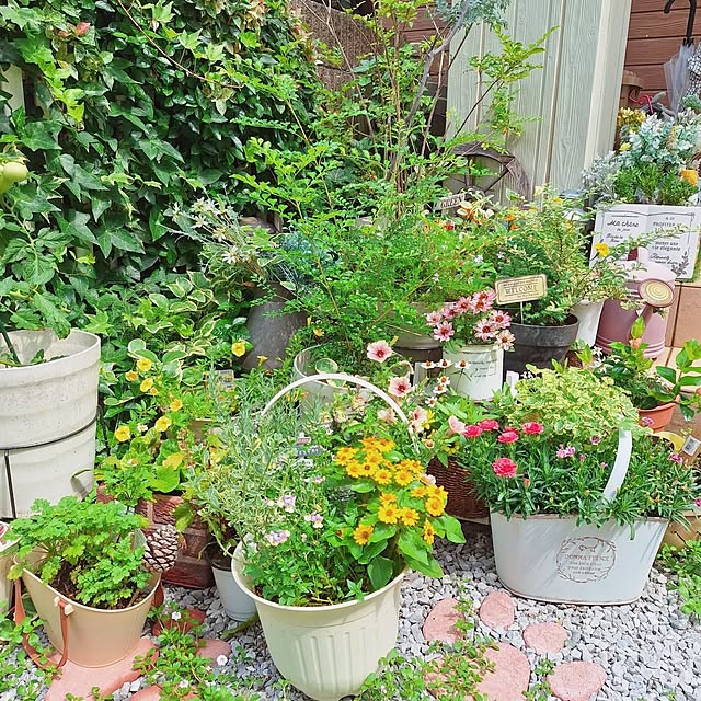 Blancheさんの実例写真