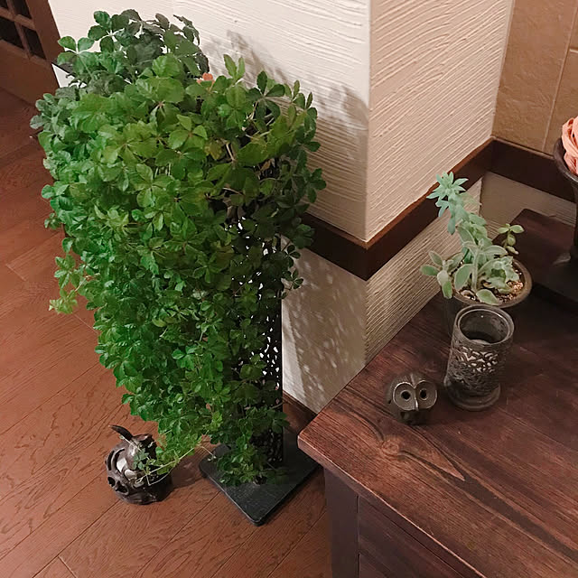 Nagakoさんの実例写真