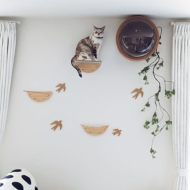 kohakuさんの実例写真