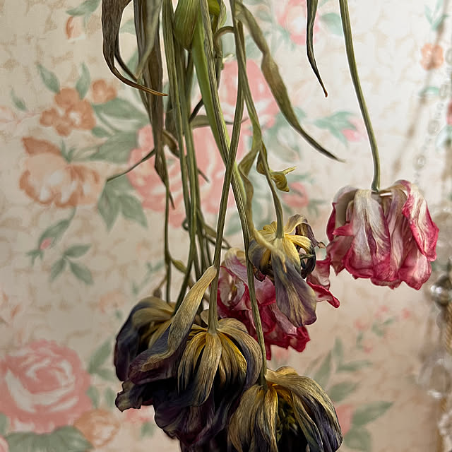 AYUKOさんの実例写真