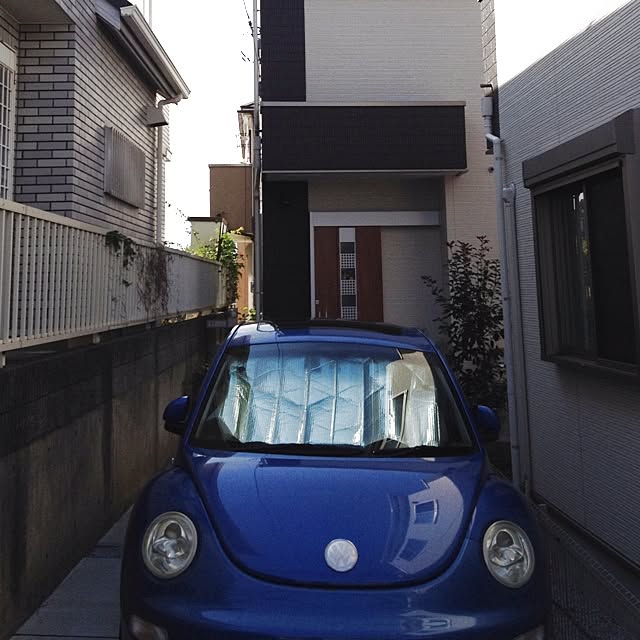 dicekbeetleさんの実例写真