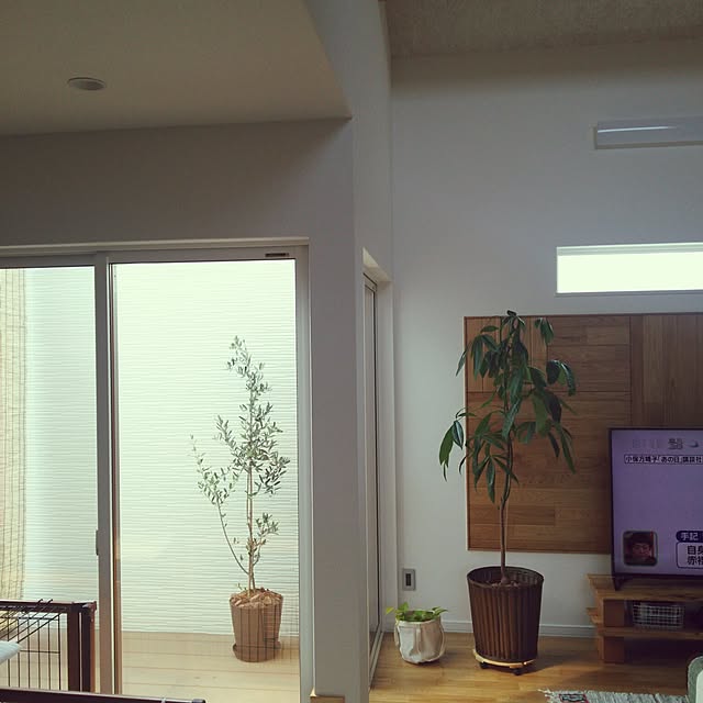 tentenさんの実例写真