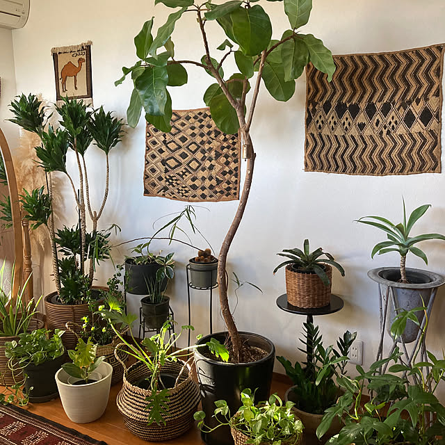 matthewさんの実例写真