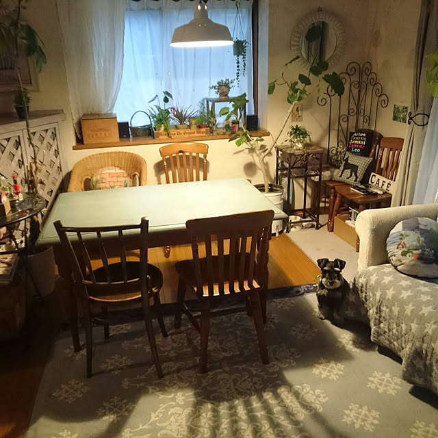 asaさんの実例写真
