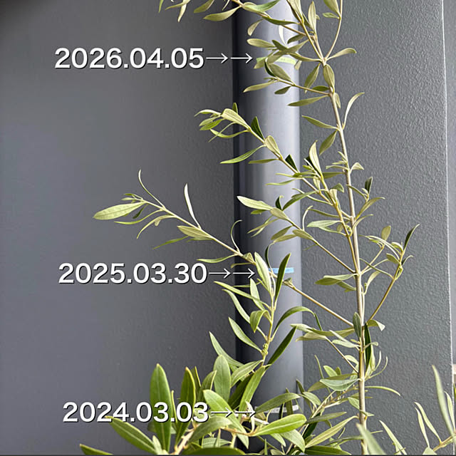 up0524さんの部屋