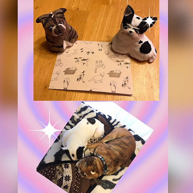 chi_gogaさんの実例写真