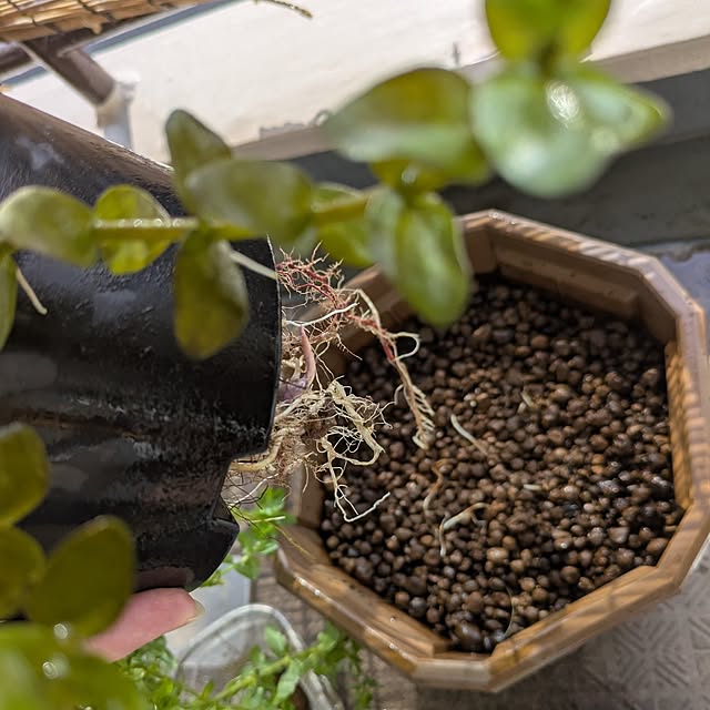 mi-saさんの部屋