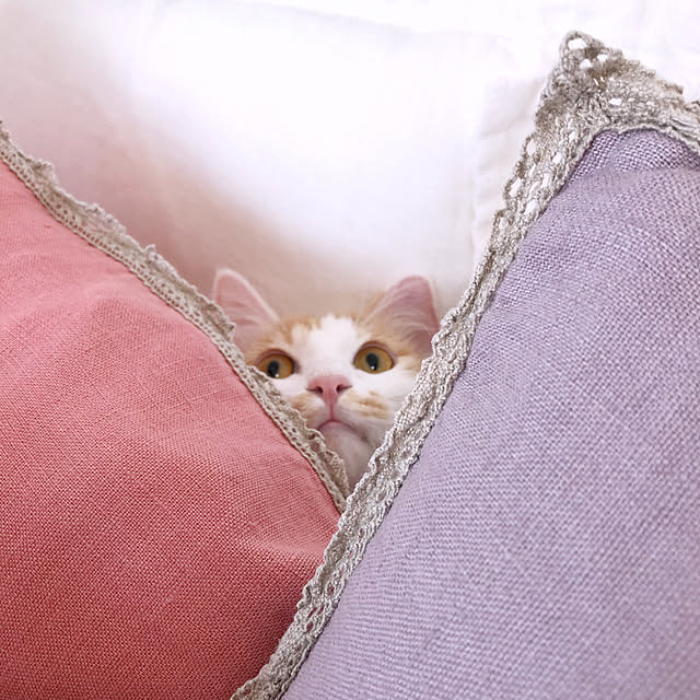 yuchiさんの実例写真