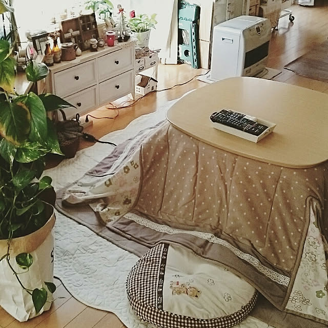 misaさんの実例写真