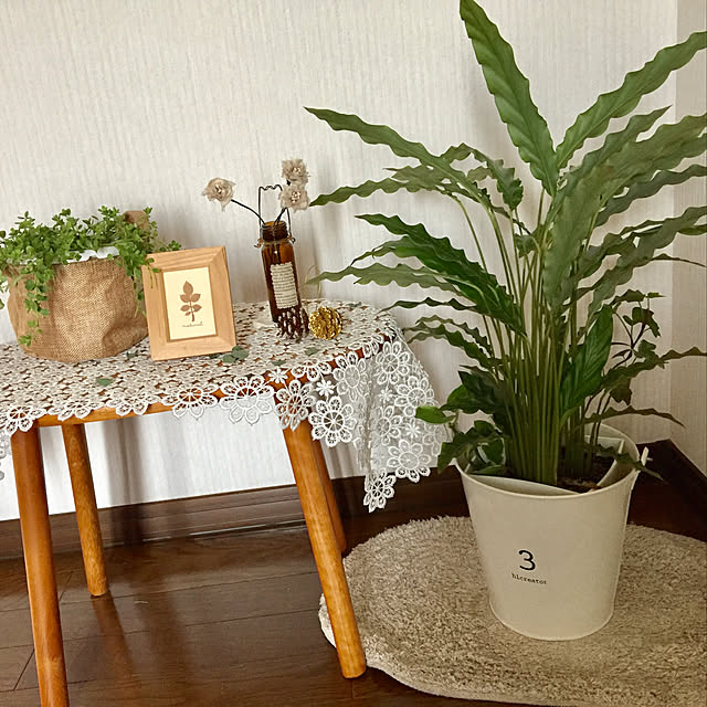 annaさんの実例写真