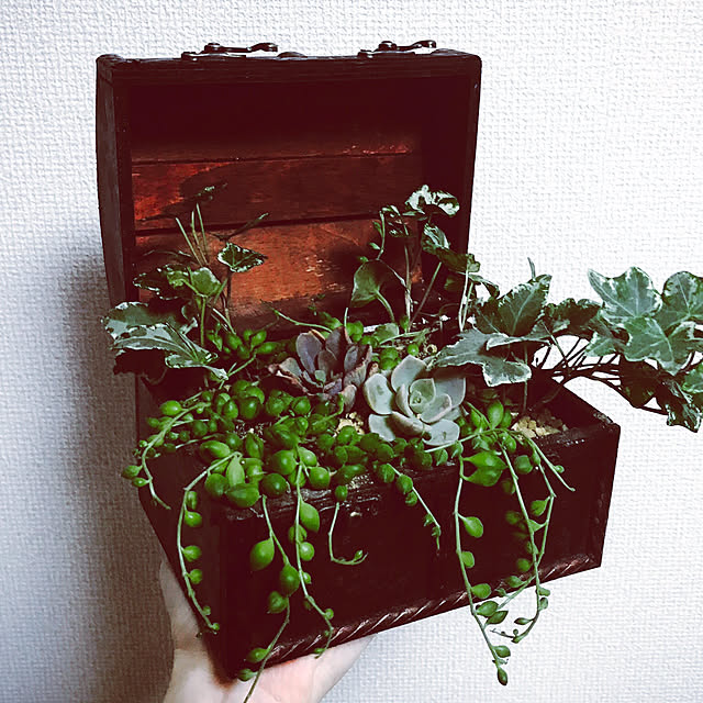 Hanaさんの実例写真