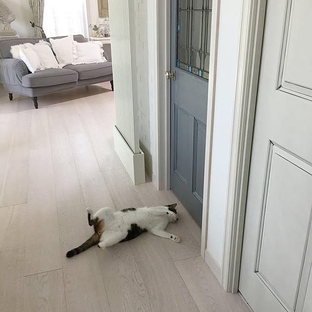 yuchiさんの実例写真