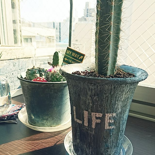 cocosorasakuさんの実例写真