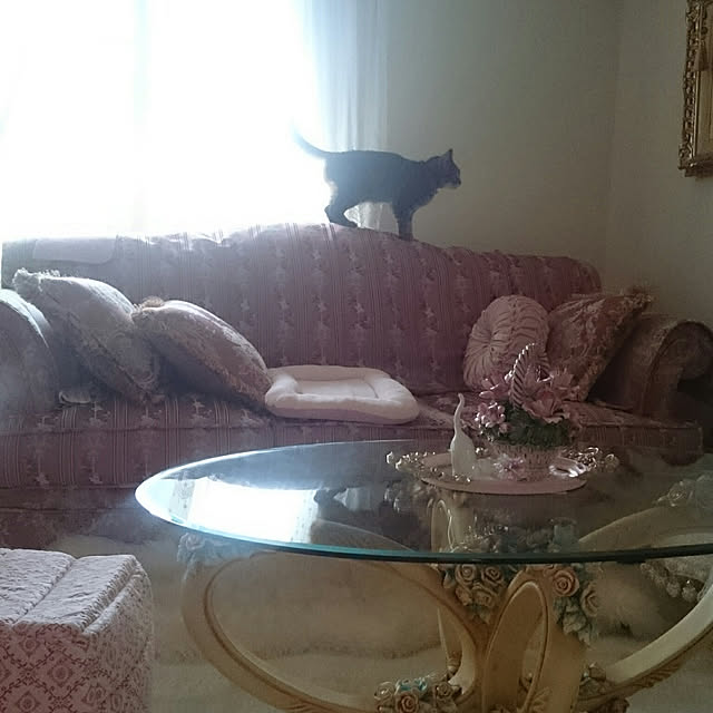 lilyさんの実例写真