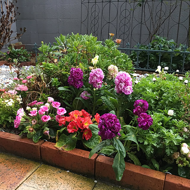 chieさんの実例写真
