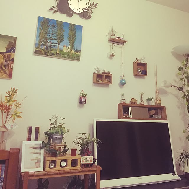 datさんの実例写真
