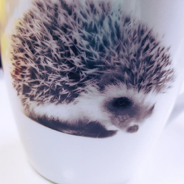 ayuさんの実例写真