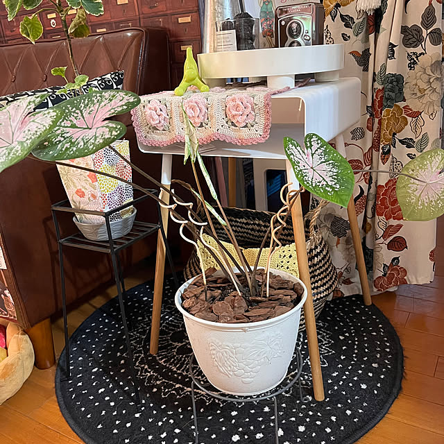 jijiさんの部屋