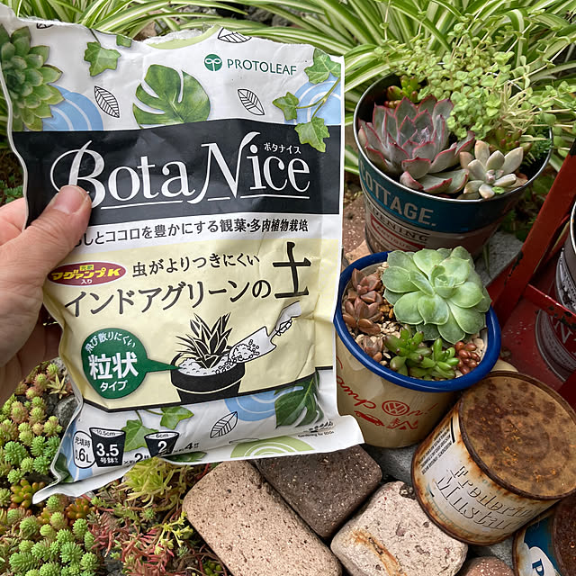 anko.hibuさんの実例写真