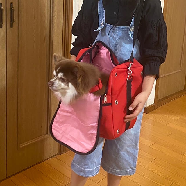 chIoeさんの実例写真