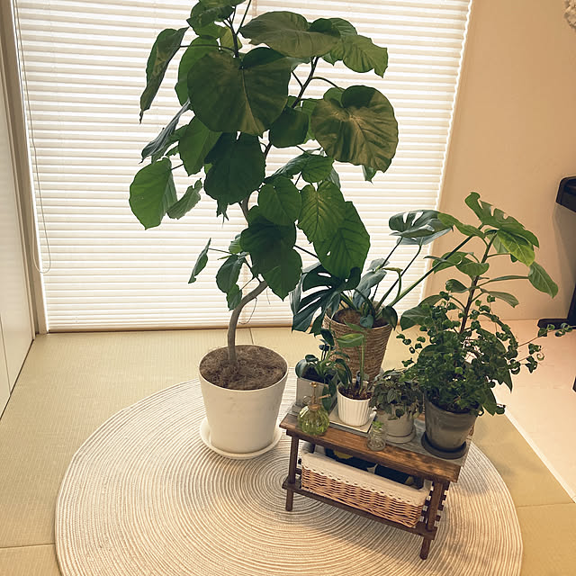 nana.himamaさんの実例写真