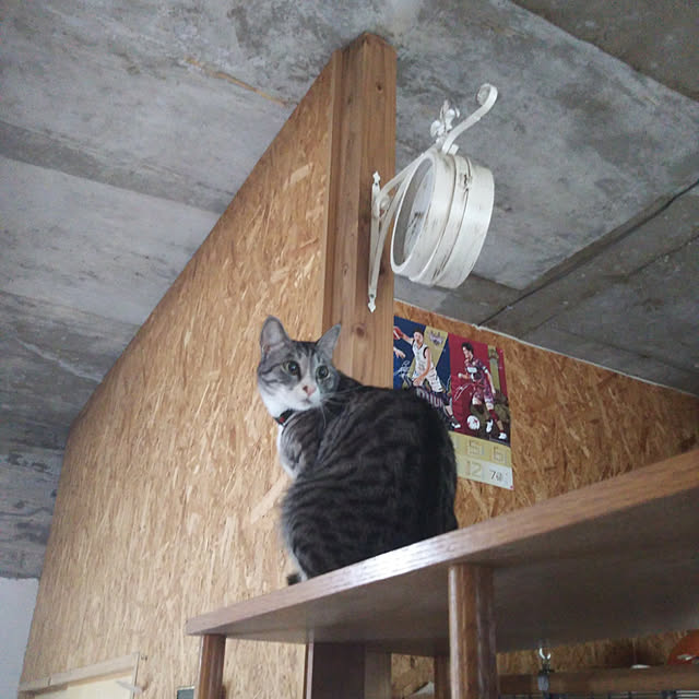 leinaさんの実例写真