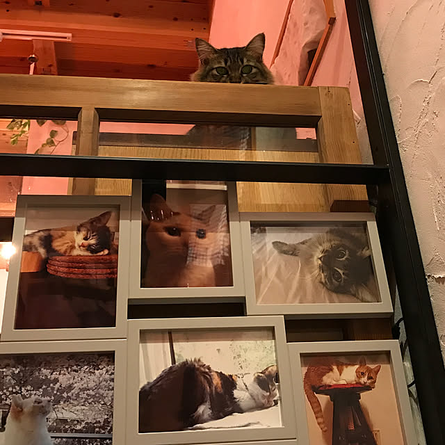 sakurasakuさんの実例写真