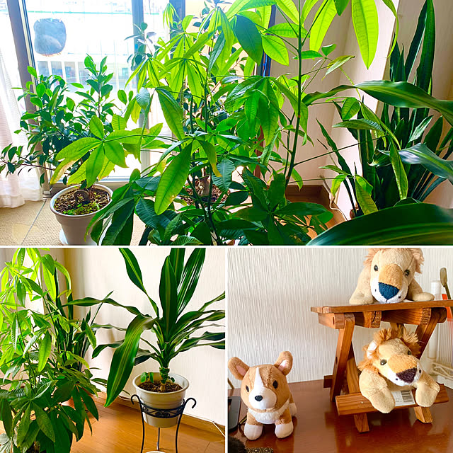 tututu0204さんの部屋