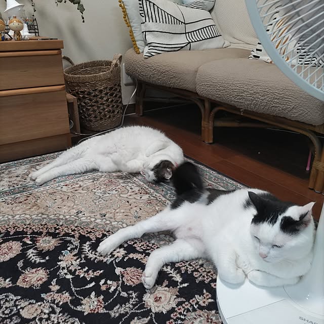 yuuさんの部屋