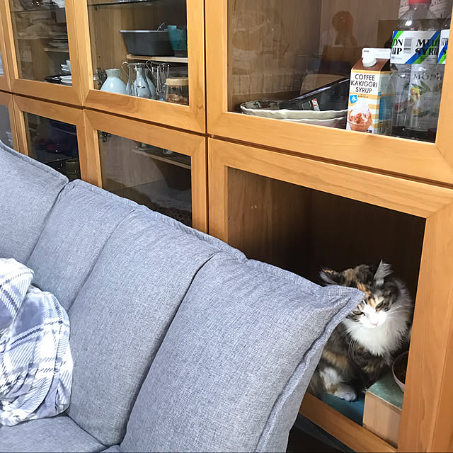 neco_holicさんの実例写真
