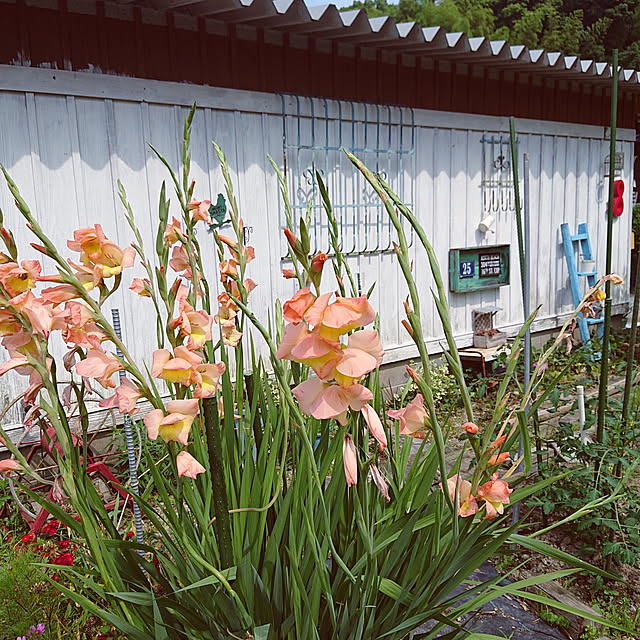 koppeさんの実例写真