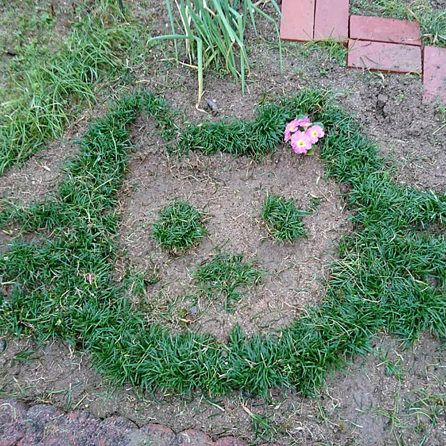 akesanさんの実例写真