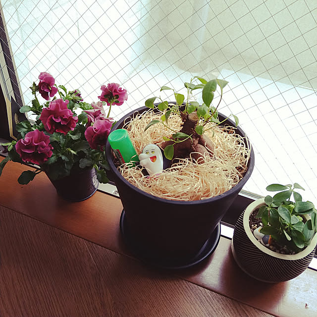 ramuneさんの実例写真