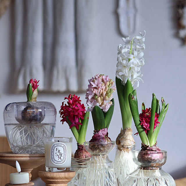 noriさんの実例写真