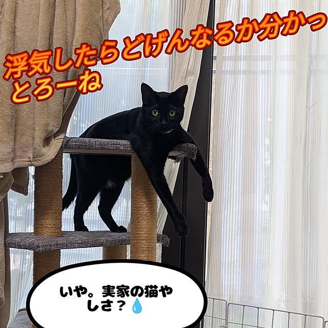 asaさんの部屋